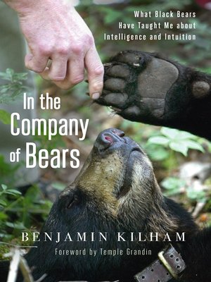 cover image of In the Company of Bears